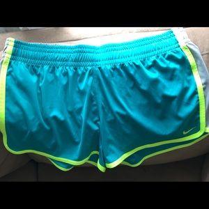 Nike Womens Blue Dri Fit Shorts Large. 0070